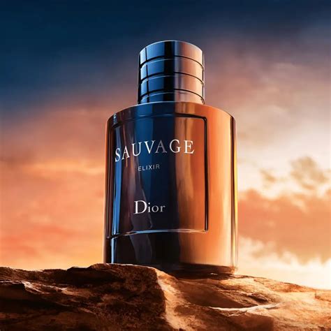 dior sauvage biggest bottle|Dior Sauvage 60ml best price.